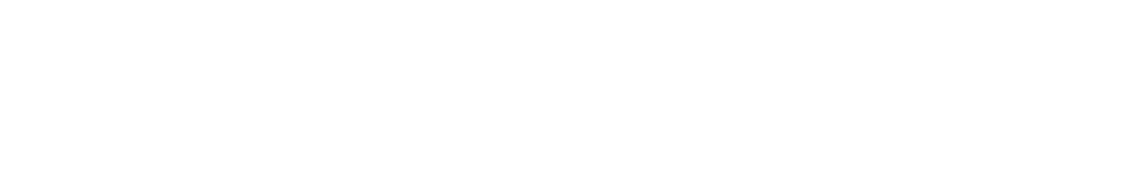HappyDomain logo white